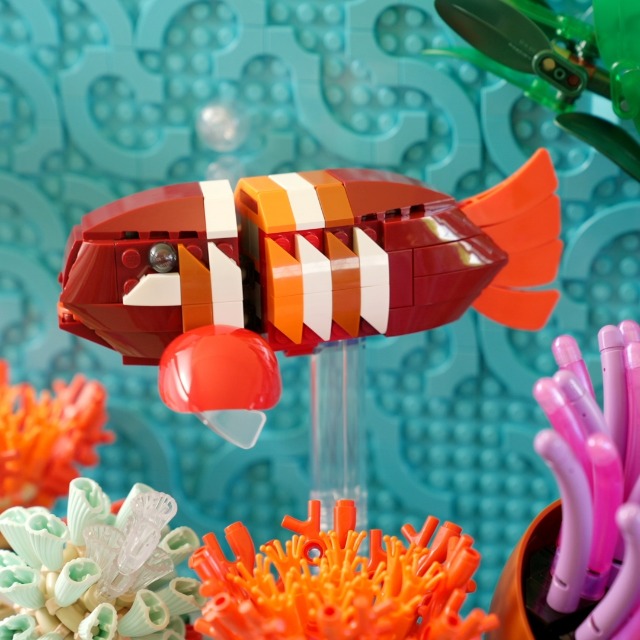 Amazon.co.jp: レゴ(LEGO) アイコン 熱帯魚の水槽 おもちゃ 玩具 誕生